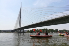 Sava bridges and great war island 5